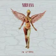 NIRVANA-In Utero - 30th Anniversary Deluxe Edtition-CD Deluxe Edition Remastered