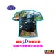 【收藏天地】台灣紀念品＊3D強力白板吸鐵(T-Shirt形)-阿里山小火車∕ 小物 磁鐵 送禮 文創 風景 觀光 禮品 外國朋友