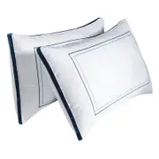 2 Pack Ultra Plush Soft Hotel Pillow