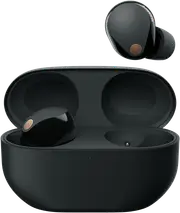 Sony Premium Noise Cancelling Earbuds - Black