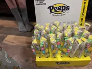 4 PEEPS MARSHMELLOW RAINBOW POPS NEW PEEPS STACK 4 COLORS BB01/2025