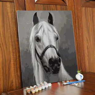 下殺 DIY手繪填色畫數字油畫動物馬臥室客廳沙發背景墻餐廳裝飾畫 馬頭