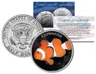 CLOWN FISH *Fish Series* JFK Kennedy Half Dollar U.S. Colorized Coin