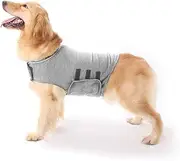Dog Anxiety Jacket Calming Coat Thunder Dog Wrap for Anxiety Stress Relief (Light Gray, XL)