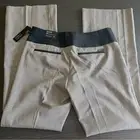 NWT Express Editor Flare Pants