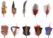 Hat Feathers, 10 Pcs Assorted Natural Feather Packs Accessories for Fedora, Cowb