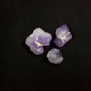 MeldedMind Set of 3 Phantom Amethyst Specimens Natural Purple Crystal 170810