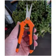 6.5 Inch Gardening Scissors Hand Pruner Micro Tip Snips Straight Pruning Shear