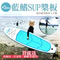 在飛比找momo購物網優惠-【JINDO】藍鰭 SUP 超輕量 槳板(台灣公司貨 一年保