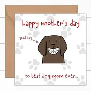 Felbridge Studio - Mothers Day Card from the Dog - Funny Mother's Day Cards from the Doggy Pup Puppy Fur Baby Pet - Mum Mother Mummy Ma Mammy Mother s Wife - 14cm