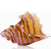 Blown Amber Conch Shell