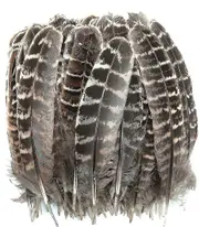 100pcs Natural Color Pheasant Feathers 5-7 Inches Spotted Wing Quill Feathers For Hats Crafts Clothing Mask Decorating Party Decorations Accessories