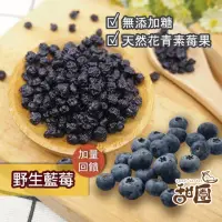 在飛比找momo購物網優惠-【甜園】無糖野生藍莓乾-60g(★無糖 ★低溫烘培 ★嚴選優