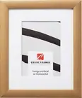 23247006 11 X 14 Inch Distressed Gold Picture Frame Matted to Display an 8 X 10