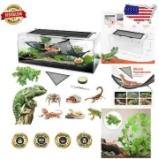 Panoramic View Small Reptile Tank 9.4''x19.2'' – Perfect for Lizards & Snakes