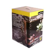Reptile One Blue Tongue Lizard Starter Kit