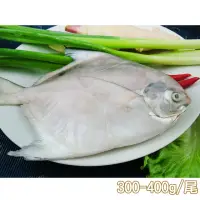 在飛比找momo購物網優惠-【新鮮市集】鮮嫩富貴白鯧魚(300-400g/尾)