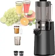 Juicer Machines, 250wcold Press Slow Juicer, With Triple Filter, Cold Press Juicers Whole Fruit And Vegetable, For Delicate Crushing,Grey