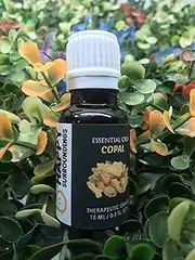 Clove Essential Oils ~ Pure Natural Aromatherapy Massage Oil - Therapeutic Grade - 100% Natural Incense - Pure essential oil (50ml)