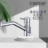 在飛比找蝦皮購物優惠-Caesar 凱撒  K529CL 無鉛RO兩用立式廚房混合