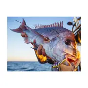TT Fishing Quake Soft Vibe Lure 75mm