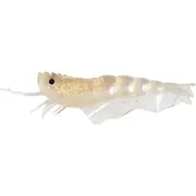 Fishcraft Dr Prawn Unrigged Soft Plastic Lure 5in