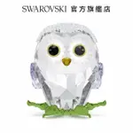 【SWAROVSKI 施華洛世奇】IDYLLIA 小貓頭鷹