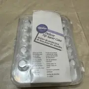 Wilton Deluxe Tip Saver Case Holds 26pcs - 405-8773