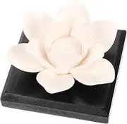 SOESFOUFU Essential Oil Diffusers Aromatherapy Diffuser for Office Car Room Decor