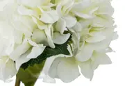 HYDRANGEA Vase