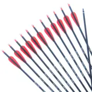 Carbon Arrow 28/30/31 Inches Length Spine 500 with Replaceable Arrowhead