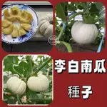 🎉【限時搶購】李白南瓜種子  (李白)  植株生育強健旺盛 果實厚 扁球型 果皮白色 果重約3公斤左右 果菜菜籽