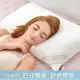 【格蕾寢飾】義大利La Belle《透氣舒眠四孔枕》一入