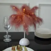 15" CINNAMON ROSE Feather DESK LAMP Decorative LED Light Table Centerpiece