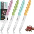 HAUSHOF Steak Knives Set of 4, Serrated Steak Knives, Premium Stainless Steel...