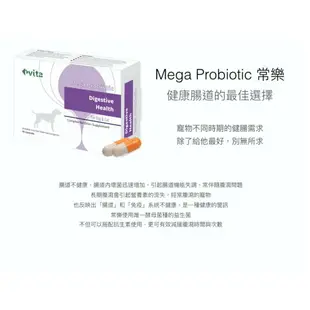 [免運]ivita虎揚 Digestive Health常樂 -60粒 含布拉酵母菌 似腸保寶.益生菌動物醫院專賣