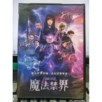 在飛比找iOPEN Mall優惠-挖寶二手片-Y33-499-正版DVD-電影【魔法禁界】-蒂