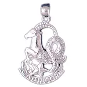 14K White Gold Zodiac Capricorn Charm