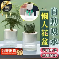 在飛比找momo購物網優惠-【捕夢網】懶人花盆 小款(吸水花盆 水培花盆 懶人盆栽 花盆