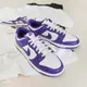 Nike Dunk Low Retro 男 白紫 葡萄 低筒 經典 潮流 穿搭 運動 休閒鞋 DD1391-104