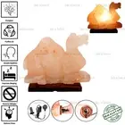 CAMELL SHAPE ELECTRIC HIMALAYAN SALT TABLE LAMP PURIFY ROCK NATURAL IONISER