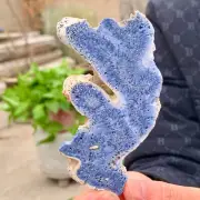 34G Natural Blue Coral Reef Cluster Marine Mineral Crystal Specimen