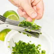 5 Layer Stainless Steel Multi-Blade Kitchen Cooking Tool Herb Scissors Kitchen Shears