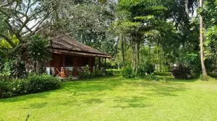薩特沃大象生態飯店Satwa Elephant Eco Lodge