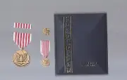 Army Meritorious Award for Public Service medal with mini rb and lp cased set