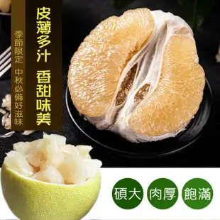 📢📢📢免運可送禮大台北地區快送🍐柚見中秋🌙正宗麻豆文旦禮盒🎁正老欉伴手禮中秋節文旦柚子麻豆文旦多汁10台斤5台斤特美級可