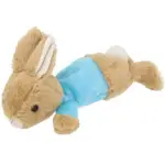 【正版日貨】[現貨]英國彼得兔絨毛娃娃筆袋 彼得兔絨毛筆袋 彼得兔玩偶娃娃 120週年紀念款 彼得兔正品 送禮