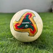 Fevernova Football Fifa World Cup 2002 Official Match Soccer Ball Size 5
