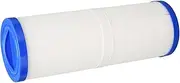 Polyester Mesh Pool Filter Replacement Element for PWW50L Children's Spa - Maintain Water Quality