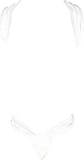 [Generic] Men'S Sissy Lace Panties Nightclub Sexy Elastic Body Chest Harness Jockstrap Lingerie Set With Thong Underwear G-String, White, Medium